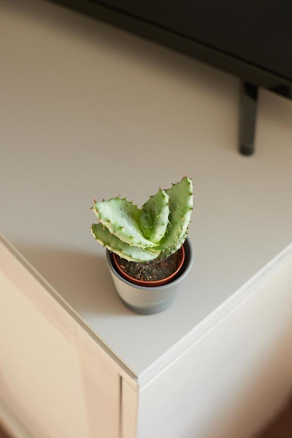 Greenhouse Apartment